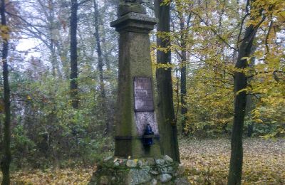 Historic park for sale Skorki, Mazovia,, Photo 6/6
