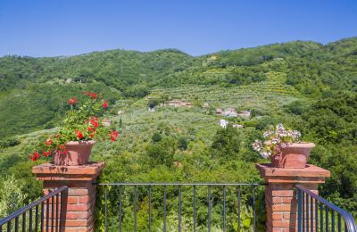 Country home for sale Pistoia, Tuscany, View