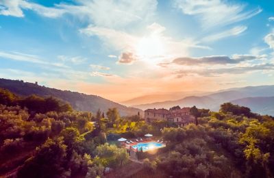 Historic properties, Estate with two villas and high annual income near Florence