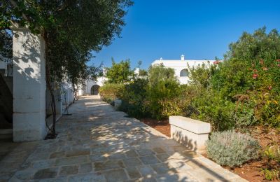 Country property for sale Ostuni, Strada Provinciale 21, Apulia, Photo 11/33