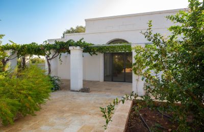 Country property for sale Ostuni, Strada Provinciale 21, Apulia, Photo 31/33