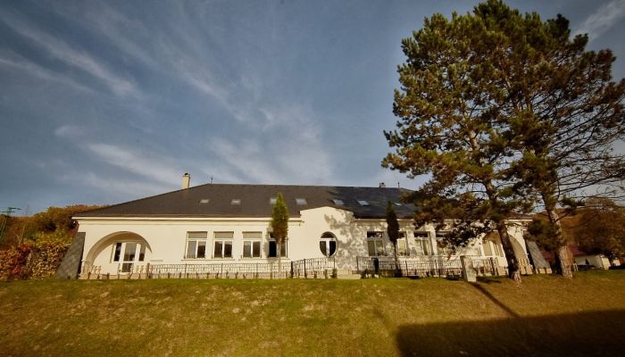 Château · Trenčiansky kraj