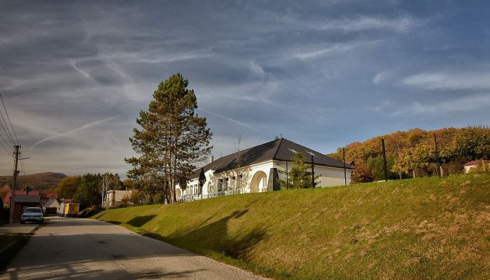 Château · Trenčiansky kraj