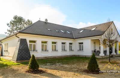 Manor House for sale Trenčiansky kraj, okres Trenčín, Melčice - Lieskové, Melčice, Region of Trenčín, Photo 3/27