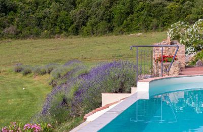 Historic property for sale Murlo, Tuscany, Photo 36/49