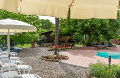Historic property for sale Murlo, Tuscany, Photo 47/49