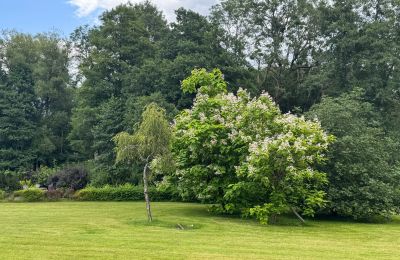 Country property for sale West Pomerania, Photo 23/26