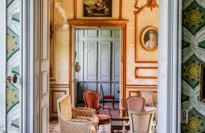 Castle for sale Vitry-le-François, Grand-Est, Photo 5/10
