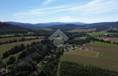 Herregård til salg Radochów, województwo dolnośląskie, Billede 9/10
