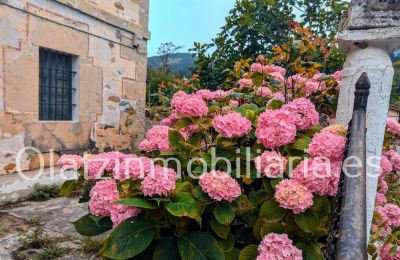 Manor House for sale Araba/Álava, Ayala/Aiara, Ayala / Aiara, Llanteno, Basque Country, Photo 2/29