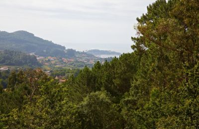 Historic property for sale Gondomar, Galicia, Photo 41/48