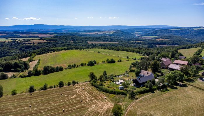Country home for sale Tarczyn, Lower Silesia,  Poland, 4