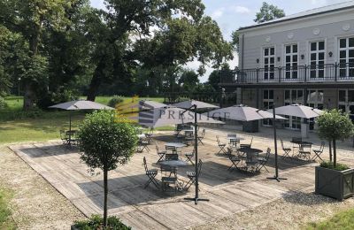 Manor house for sale Ojrzanów, Pałac w Ojrzanowie, Mazovia, Photo 9/18