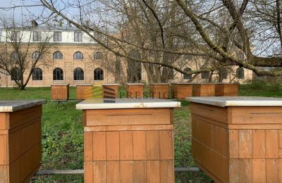 Manor house for sale Ojrzanów, Pałac w Ojrzanowie, Mazovia, Photo 14/18