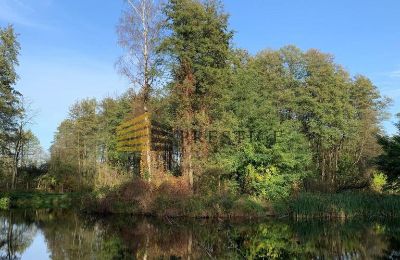 Manor house for sale Ojrzanów, Pałac w Ojrzanowie, Mazovia, Palace Garden