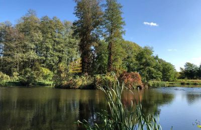 Manor house for sale Ojrzanów, Pałac w Ojrzanowie, Mazovia, Palace Garden