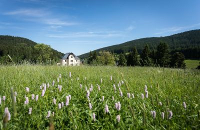 Manor House for sale 08309 Eibenstock, Saxony,, Property location