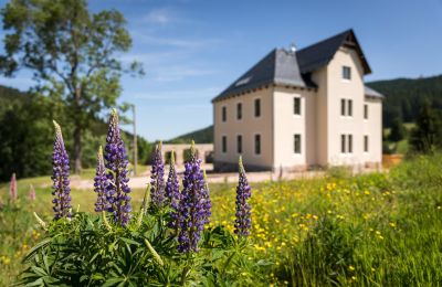 Manor House for sale 08309 Eibenstock, Saxony,, Photo 5/6