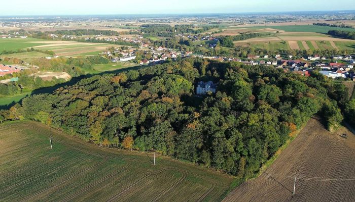  Zakrzów 4