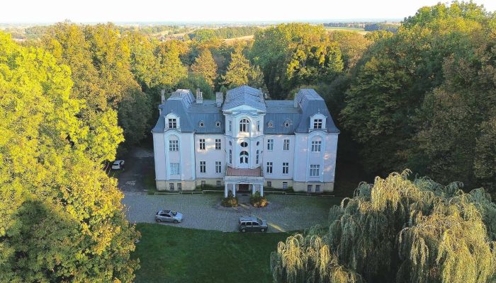 Castle for sale Zakrzów, Opole Region,  Poland