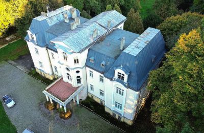 Castle for sale Zakrzów, Opole Region, Roof
