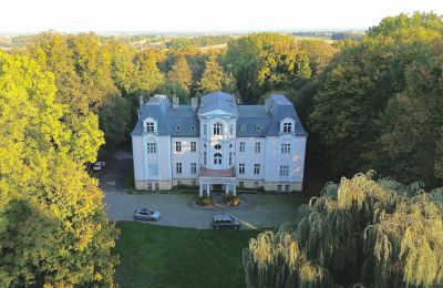 Castle for sale Zakrzów, Opole Region, Exterior View