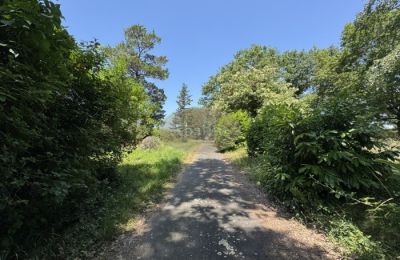 Historic property for sale Lannemezan, Occitania, Photo 2/19