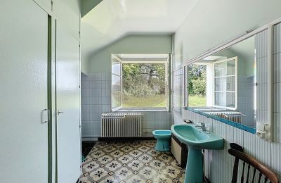 Historic property for sale Lannemezan, Occitania, Photo 16/19