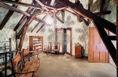 Historic property for sale Lannemezan, Occitania, Photo 10/19