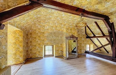 Historic property for sale Lannemezan, Occitania, Photo 12/19