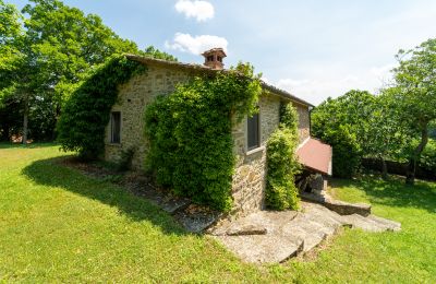 Country home for sale Anghiari, Tuscany, Photo 22/38