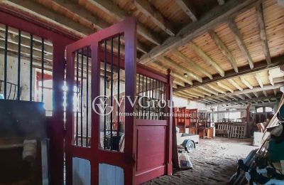 Manor House for sale Le Dorat, New Aquitaine, Photo 13/14