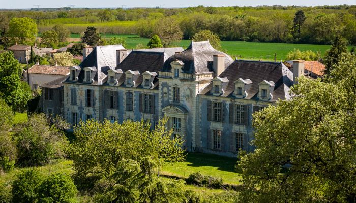 Castle for sale Thouars, New Aquitaine