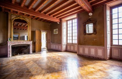 Castle for sale Thouars, New Aquitaine, Photo 8/16