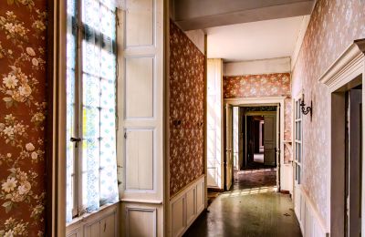 Castle for sale Thouars, New Aquitaine, Photo 14/16