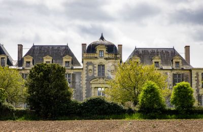 Castle for sale Thouars, New Aquitaine, Photo 2/16