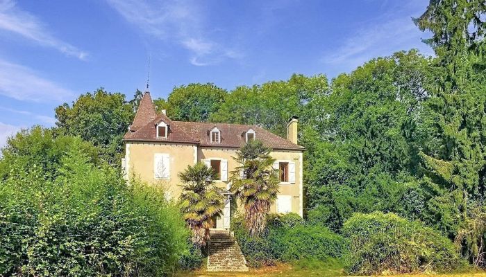 Manor house for sale Pau, New Aquitaine,  France
