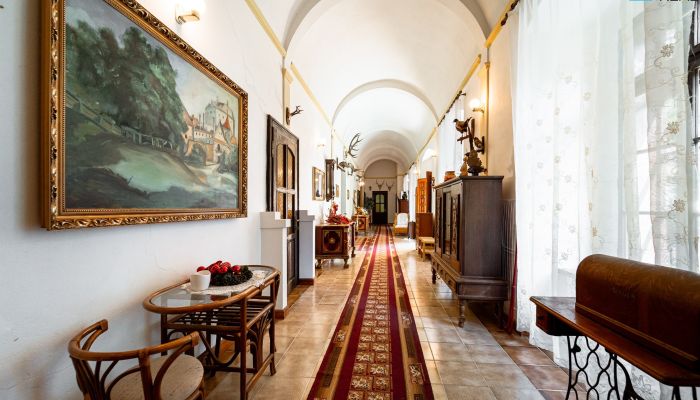 Château · Rakovec nad Ondavou