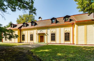 Manor House for sale Rakovec nad Ondavou, Košice Region, Back view