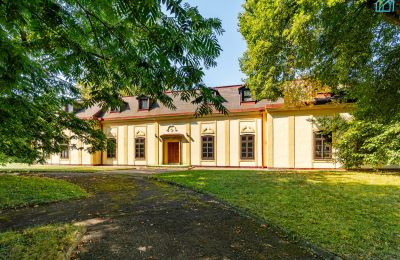 Manor House for sale Rakovec nad Ondavou, Košice Region, Back view