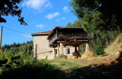 Country home for sale Niévares, Asturias, Photo 39/39