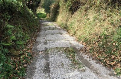 Country home for sale Niévares, Asturias, Weg zum Haus 