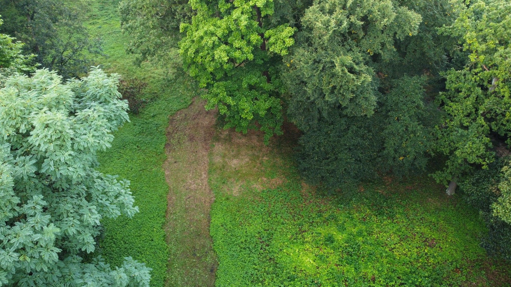Photos Historic Garden with Building Opportunity in the Iłowa Castle Heritage Zone