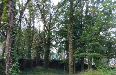 Historic park for sale Iłowa, Kolejowa 11, Lubusz, Photo 11/17