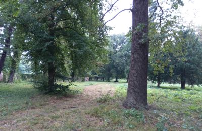 Historic park for sale Iłowa, Kolejowa 11, Lubusz, Photo 13/17