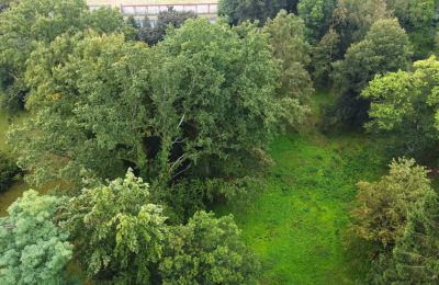 Historic park for sale Iłowa, Kolejowa 11, Lubusz, Photo 14/17