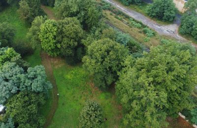 Historic park for sale Iłowa, Kolejowa 11, Lubusz, Photo 16/17