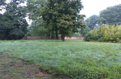 Historic park for sale Iłowa, Kolejowa 11, Lubusz, Photo 3/17