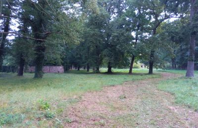 Historic park for sale Iłowa, Kolejowa 11, Lubusz, Photo 4/17