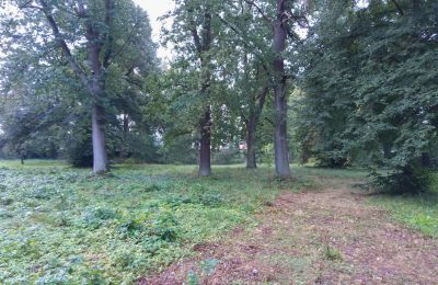 Historic park for sale Iłowa, Kolejowa 11, Lubusz, Photo 5/17